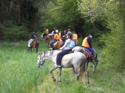 Short Break Riding in Barcelona &pound;545 | 6
