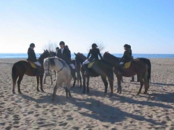 Ride beach & desert,  Almeria fm &pound;375 pp | 13