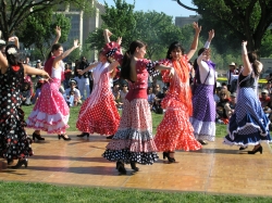 Seville Horse Feria Flamenco