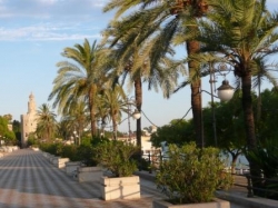 Equestrian Seville  
