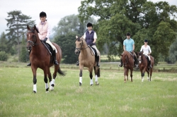 Dressage Break  | 6