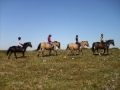 Explore Dartmoor