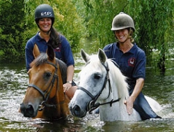 East Devon horses river swim