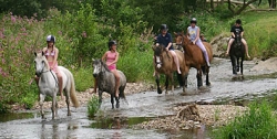 Devon river walk