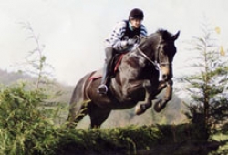 East Devon hedge jump