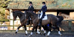 East Devon Riding dressage