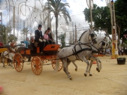 Horse and carriage in the Feria