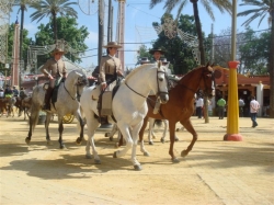 Riding in the Feria 