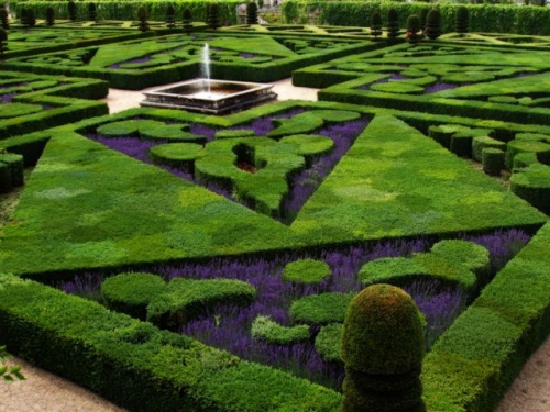 Loire Valley | 6