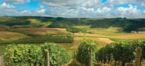 Loire Valley | 6