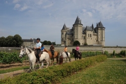Horse Riding in Saumur | 6