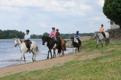 Horse Riding in Saumur | 6