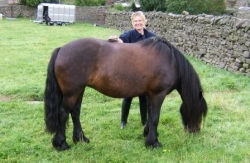 Pony Trekking in the Yorkshire Dales | 11