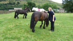 Pony Trekking in the Yorkshire Dales | 11
