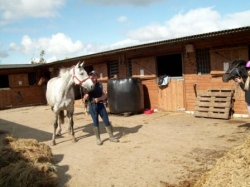 Pony Trekking Weekend  | 12