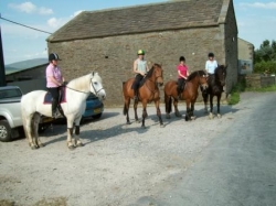 Pony Trekking Weekend  | 12