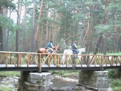 Riding Holidays Madrid