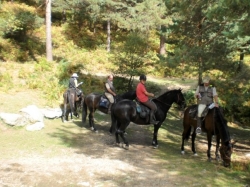 Riding vacation, Madrid