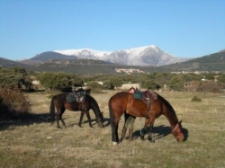 Equestrian holiday, Madrid