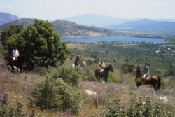 Horse riding holiday, Madrid