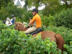 One Week Riding in Saumur  | 7
