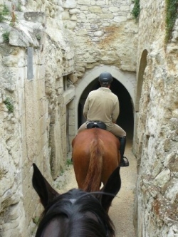 One Week Riding in Saumur  | 7
