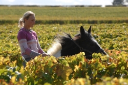 One Week Riding in Saumur  | 7