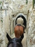 One Week Riding in Saumur 