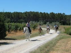 Flexible riding holiday in Tuscany | 12