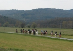 Flexible riding holiday in Tuscany | 12