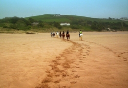Beach Riding Holiday Devon | 9