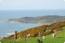Beach Riding Holiday Devon | 9