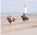 Bring own horse, North Wales
