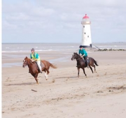 Riding Break in North Wales  | 11