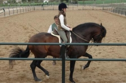 Riding Holiday for Teenagers | 6
