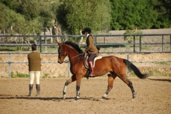 Riding Holiday for Teenagers | 6
