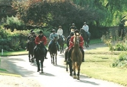 Surrey | 6