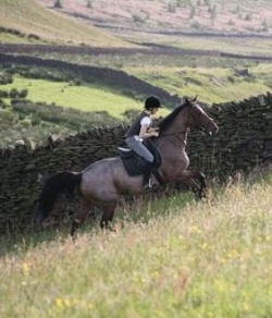Riding in Skipton, N Yorks | 7