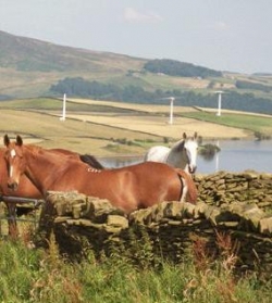 Riding in Skipton, N Yorks | 7