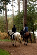 Cheshire trail riding