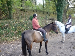 West Country Riding, Wiltshire | 9