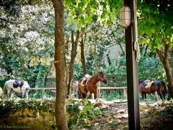 Short Break, Barcelona  | 11