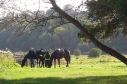 Short Break in Surrey | 8