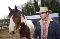 Riding Break in North Wales  | 7