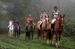 West Country Riding, Wiltshire | 9