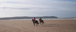 Beach Riding Holiday North Devon | 6