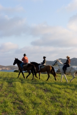 Almeria One Week Beach Riding Holiday  | 14