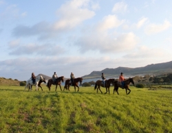 Ride beach & desert,  Almeria  | 8