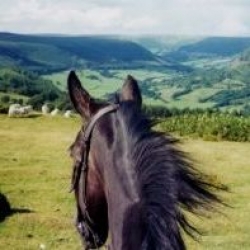 1 week trail ride Brecon | 6