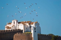 Lusitano Luxury and Culture Riding Break  | 15